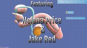 Helena Price - The Anatomy Tutor Part 1